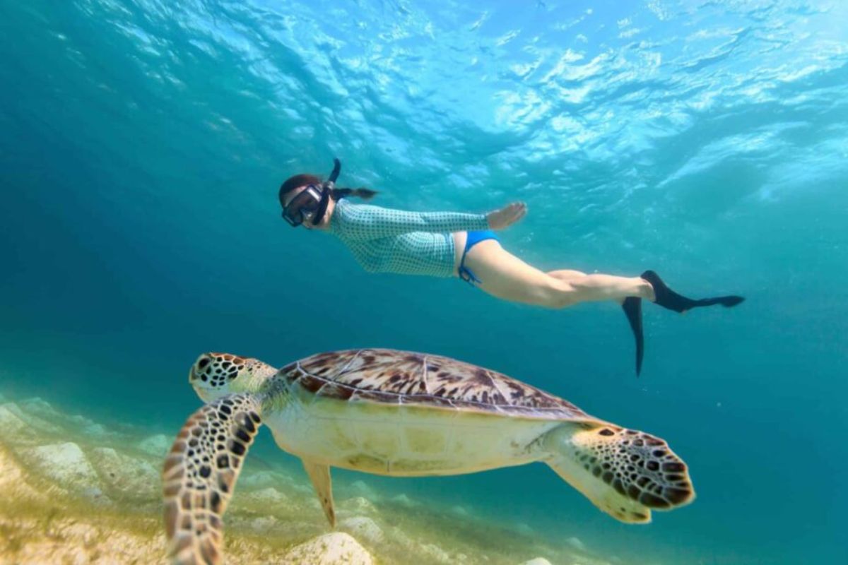 Snorkel y Buceo en Tenerife